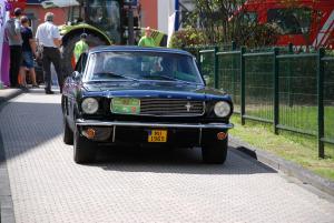 2017-08-05 Vintage Stengefort (267)